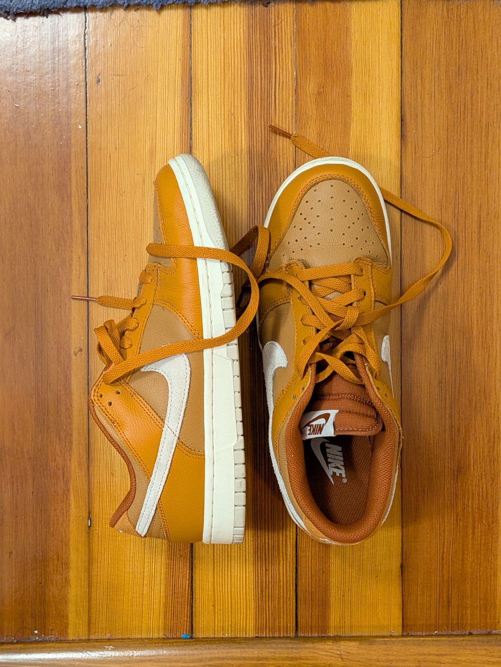 Men's Nike Dunk Low Rise Retro Sneakers in Orange